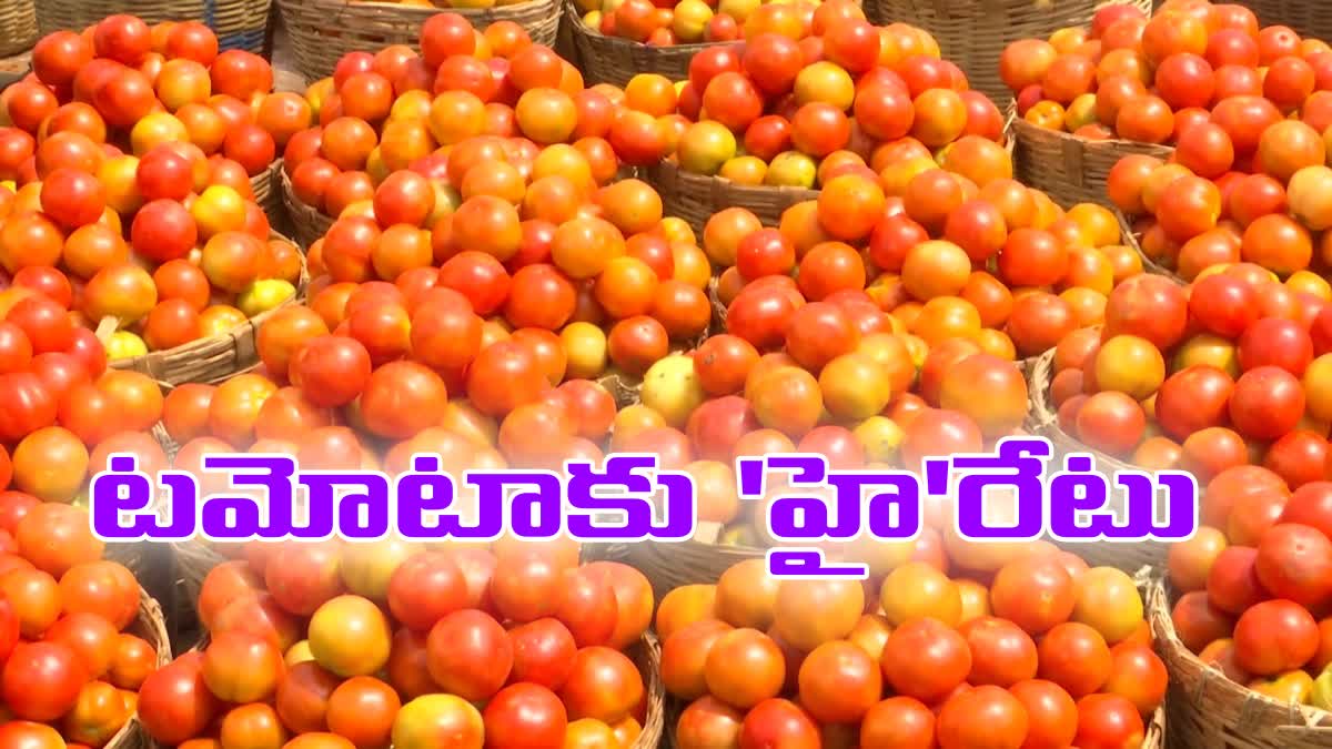 kurnool_district_tomato_farmers_happy_over_high_prices