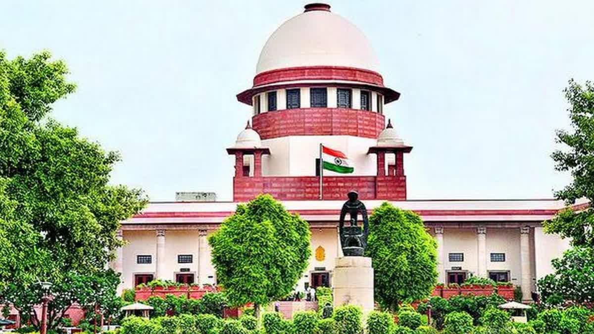 SC Grants Bail