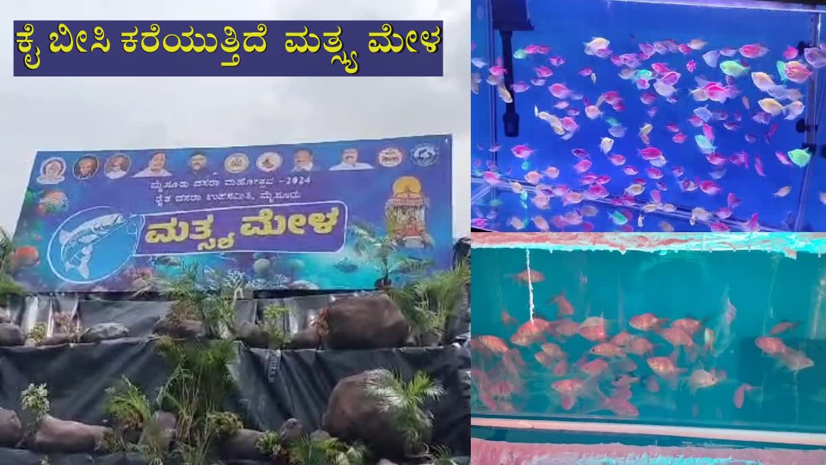 ಕಣ್ಮನ ಸೆಳೆಯುತ್ತಿರುವ ಮತ್ಸ್ಯ ಮೇಳ