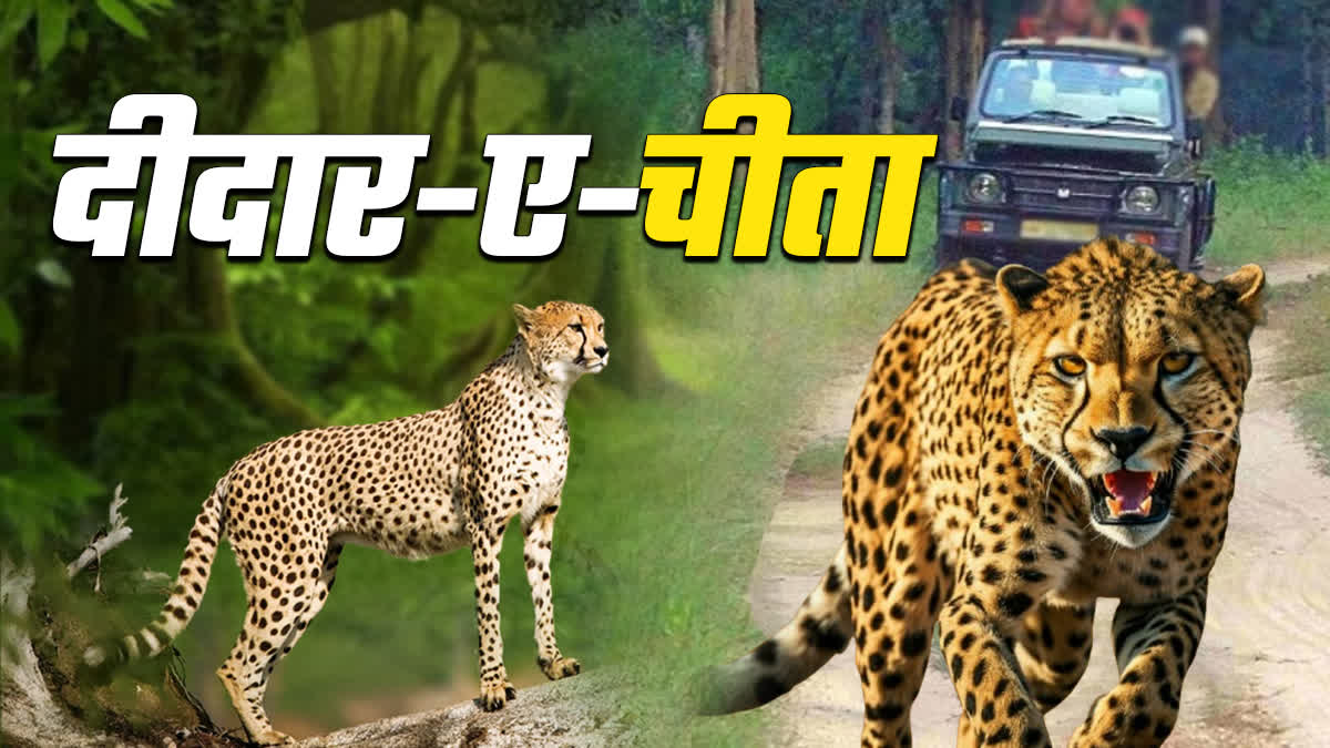 GWALIOR KUNO NATIONAL PARK OPENED