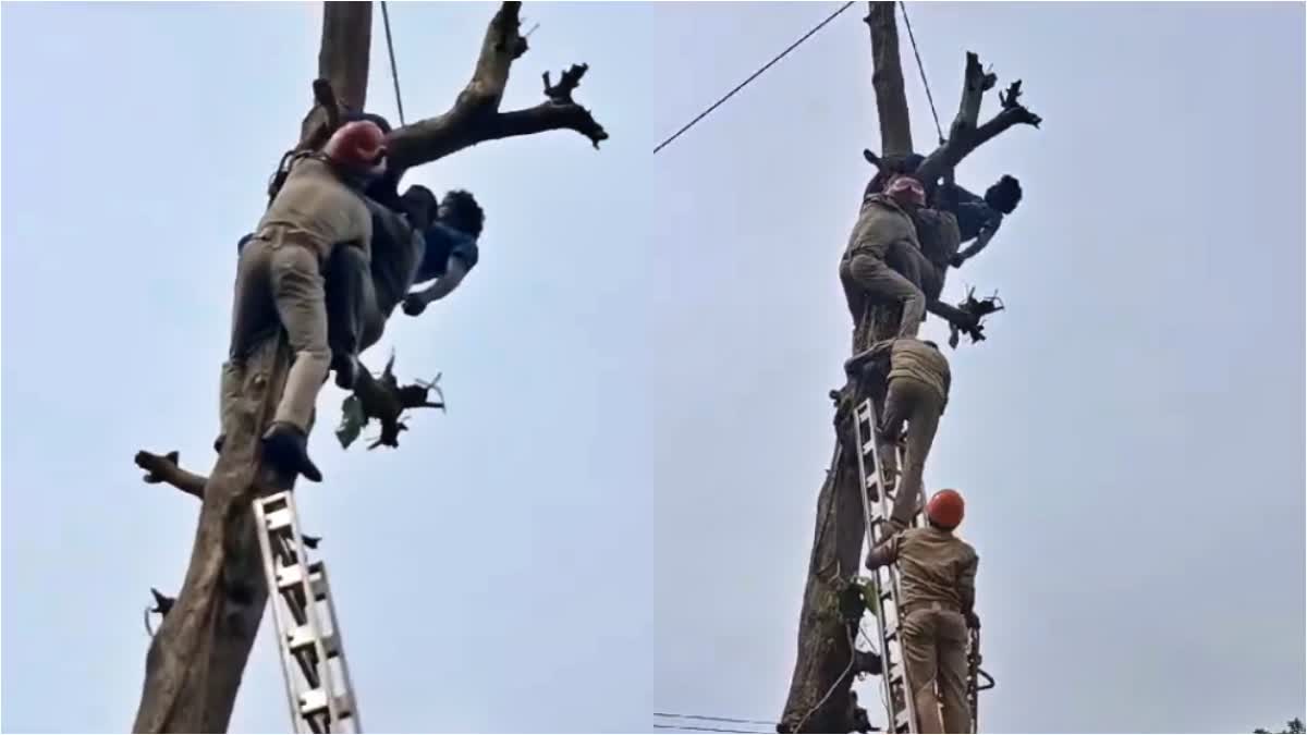 MAN STUCK UPON TREE PATHANAMTHITTA  STROKE WHILE CUTTING TREE  മരം മുറിക്കുന്നതിനിടെ സ്ട്രോക്ക്  മരത്തില്‍ കുടുങ്ങി മധ്യവയസ്‌കന്‍