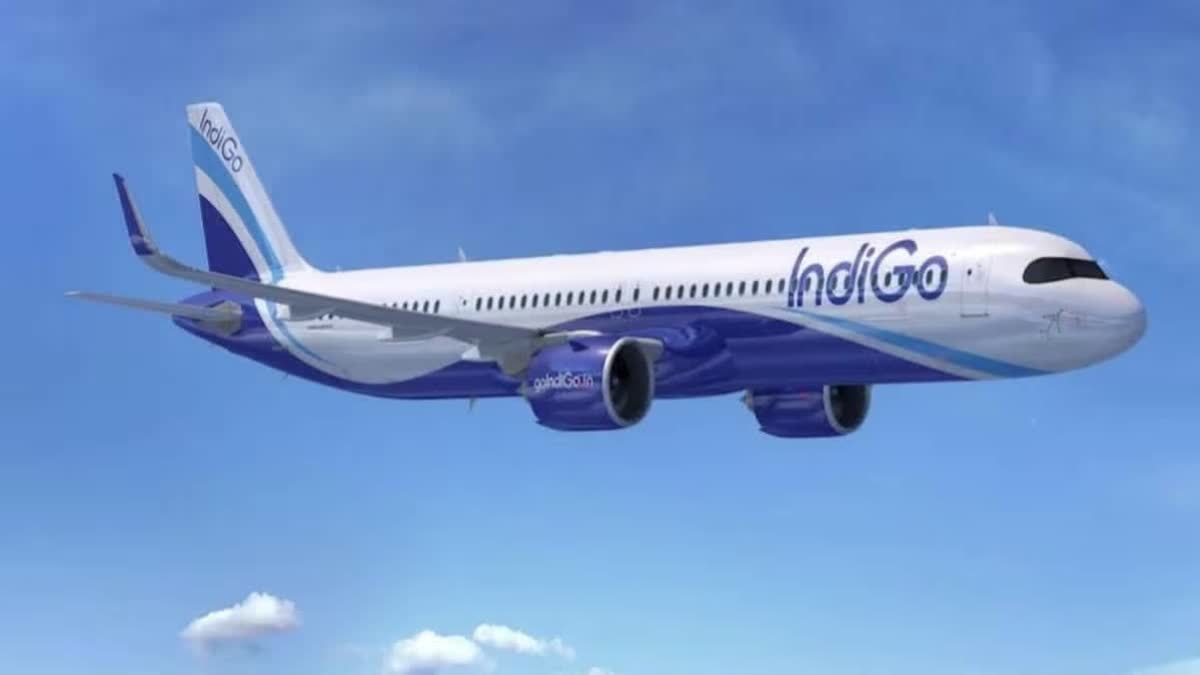 IndiGo Facing System Slowdown