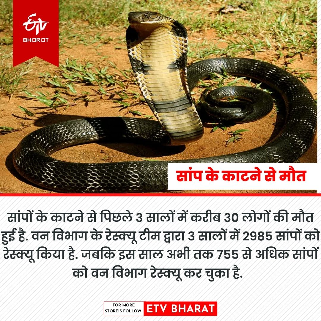 forest department rescued snakes