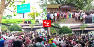 Protest in Chaikata Tea Estate