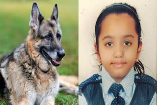 UJJAIN GIRL DIES BY FEAR DOG