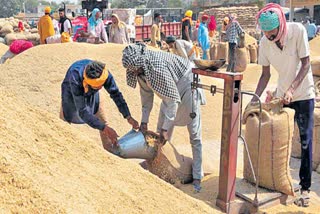 Super Fine Paddy in Telangana