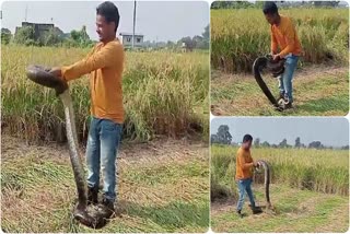 Forest department employee rescued the python