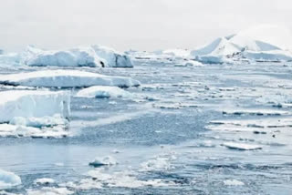 Antarctica Turning Green 'Dramatically', Trend Accelerated Over Years, Study Finds