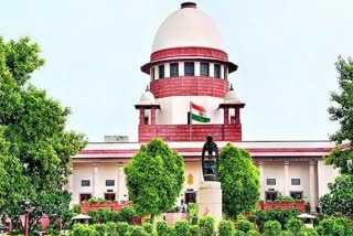 SC Grants Bail