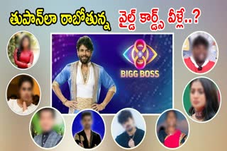 Bigg Boss 8 Telugu Wild Card Entries