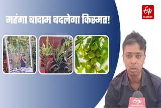 Pantnagar Agriculture Fair 2024