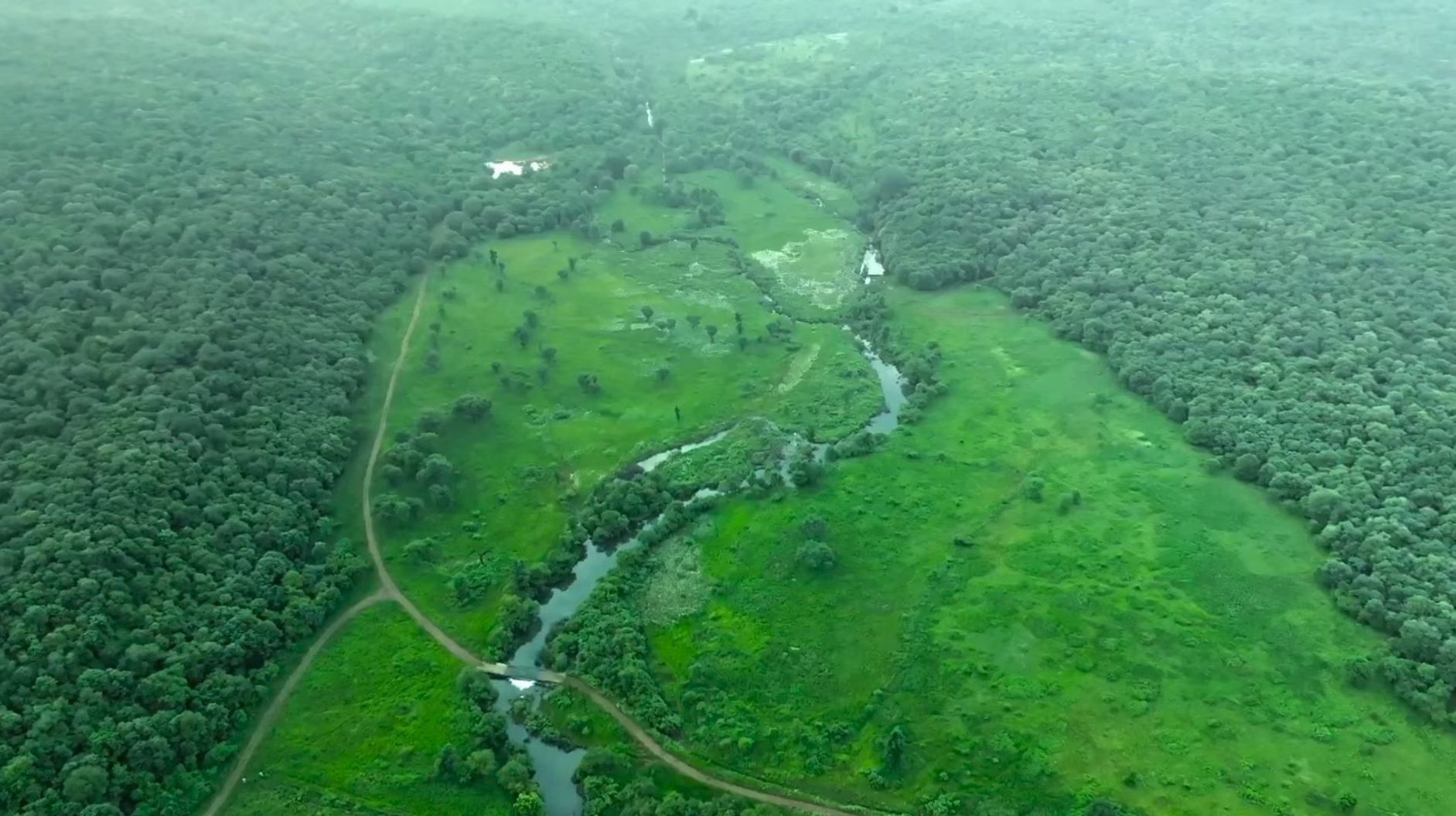 Gwalior Kuno National Park Opened