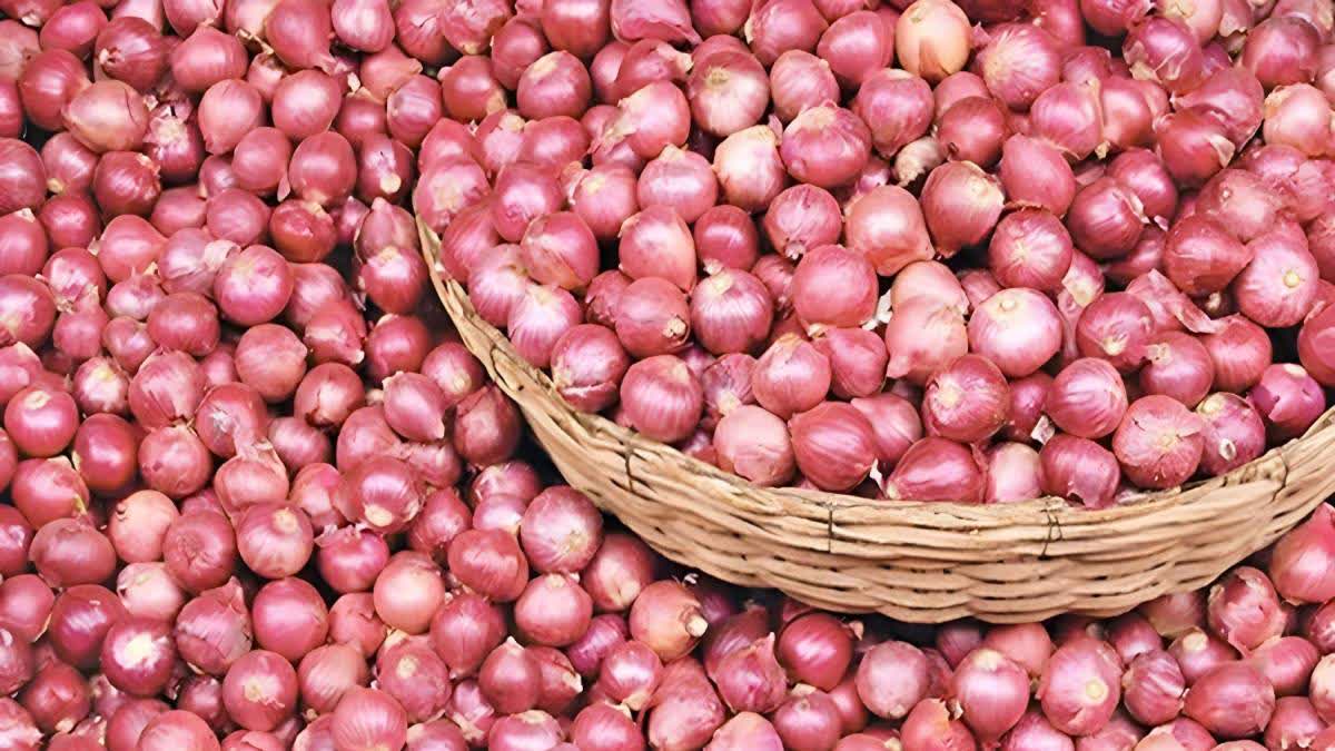 Onion Price