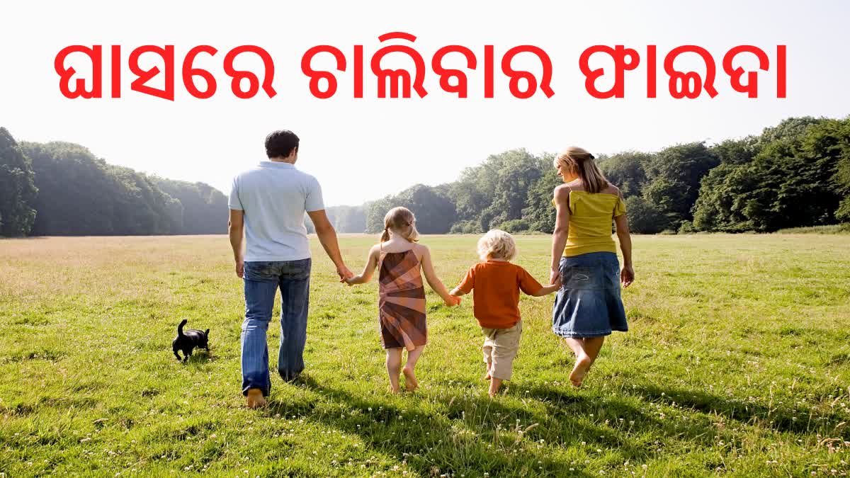 ଘାସରେ ଖାଲି ପାଦରେ ଚାଲିଲେ ଶରୀରକୁ ମିଳେ ଏହି ଫାଇଦା