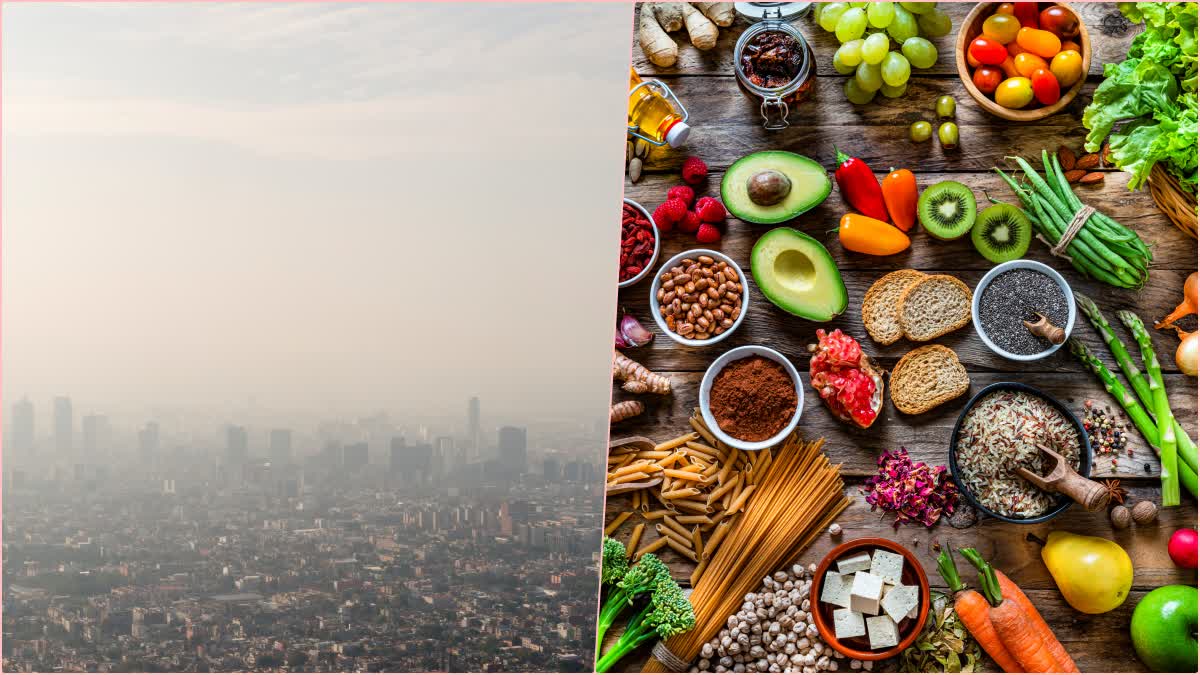Foods for Air Pollution