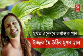 DIY Betel Face Packs To Fight Skin Problems This winter