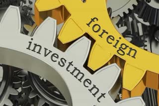 foreign portfolio investors