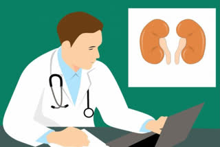 Study links impaired kidney function with cognitive disorders