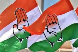 Free rations for 80 crore Indians indicator of economic distress and inequality, says Congress