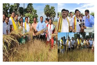 Irrigation Problems in Vizianagaram District