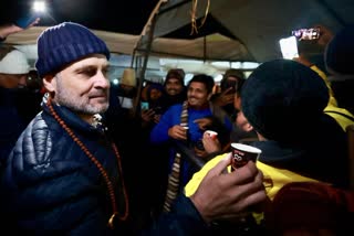Rahul Gandhi Serve Tea to Pilgrims in Kedarnath Dha