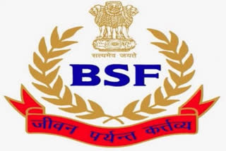 BSF jawan on poll duty killed in accidental grenade explosion in Chhattisgarh's Dantewada