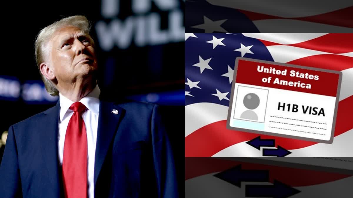 US PRESIDENT ELECTION DONALD TRUMP PRESIDENCY WILL STRICT H1B VISA IMMIGRATION news article thumbnail