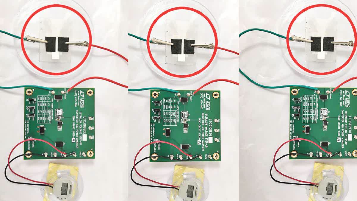 BITS Researchers Develop Cost-Effective 'Fuel Cell' To Power Pacemakers