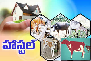 government_decided_to_set_up_hostel_for_animals_in_each_district