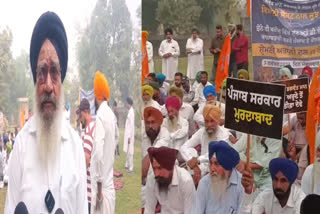 Protest at Mansa by Shiromani Akali Dal over purchase of paddy and black market of DAP