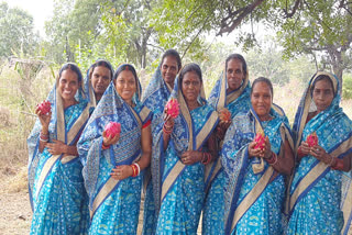 Tribal Women Blossom into Entrepreneurs with Dragon Fruit Farming