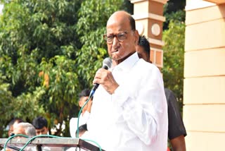 Maha Leader Sharad Pawar