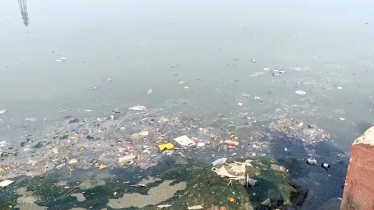 Dumping Debris In Thane Creek