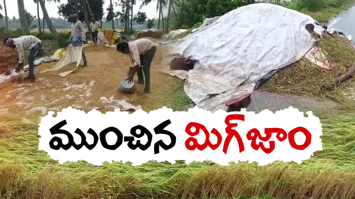 Cyclone_Michaung_Live_Updates_in_Andhra_Pradesh