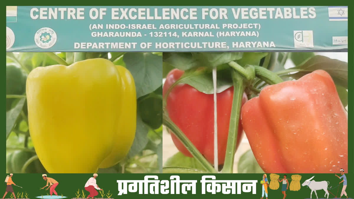 karnal Indo Israel Vegetable Center of Excellence