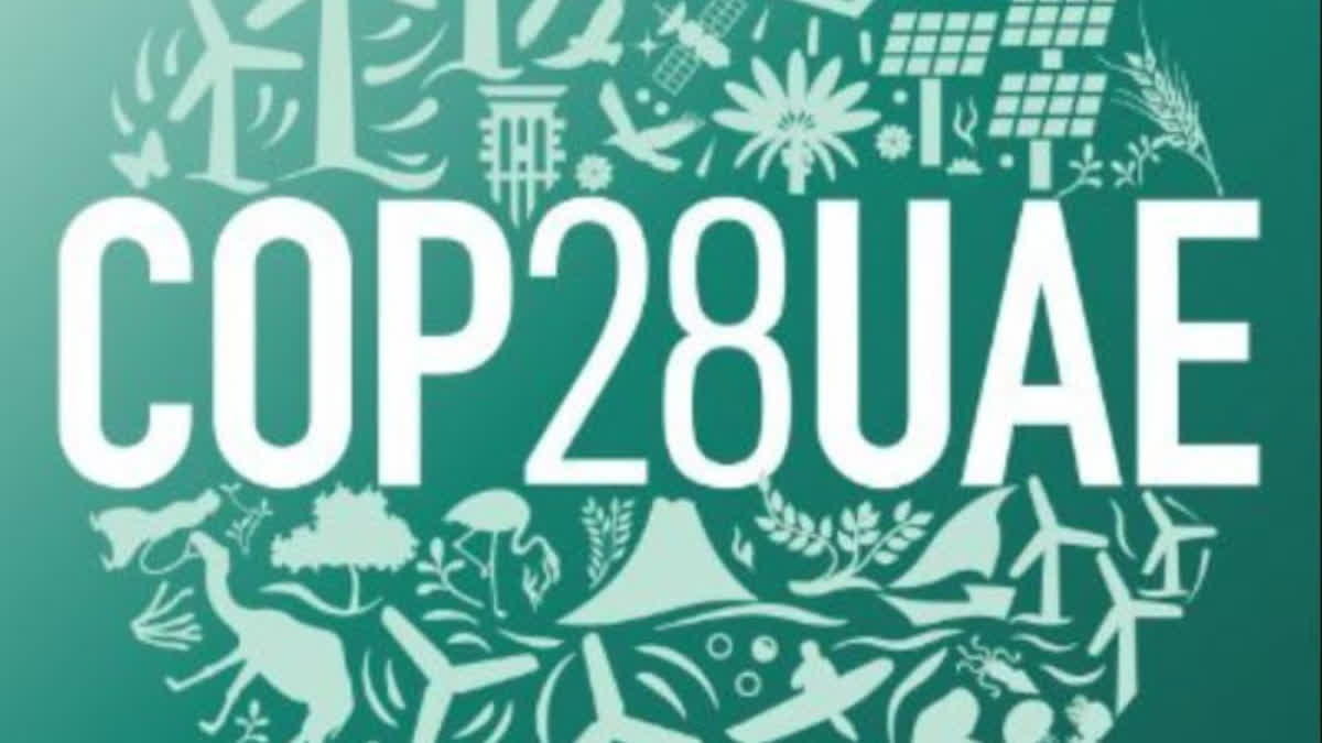 COP28: India needs to seek more commitments from developed countries, says UNDP India climate chief