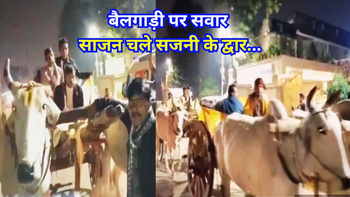 Bullock Cart Procession in Madhya Pradesh