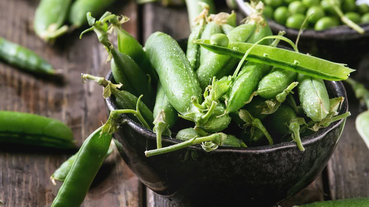 Green peas rotting in Jabalpur