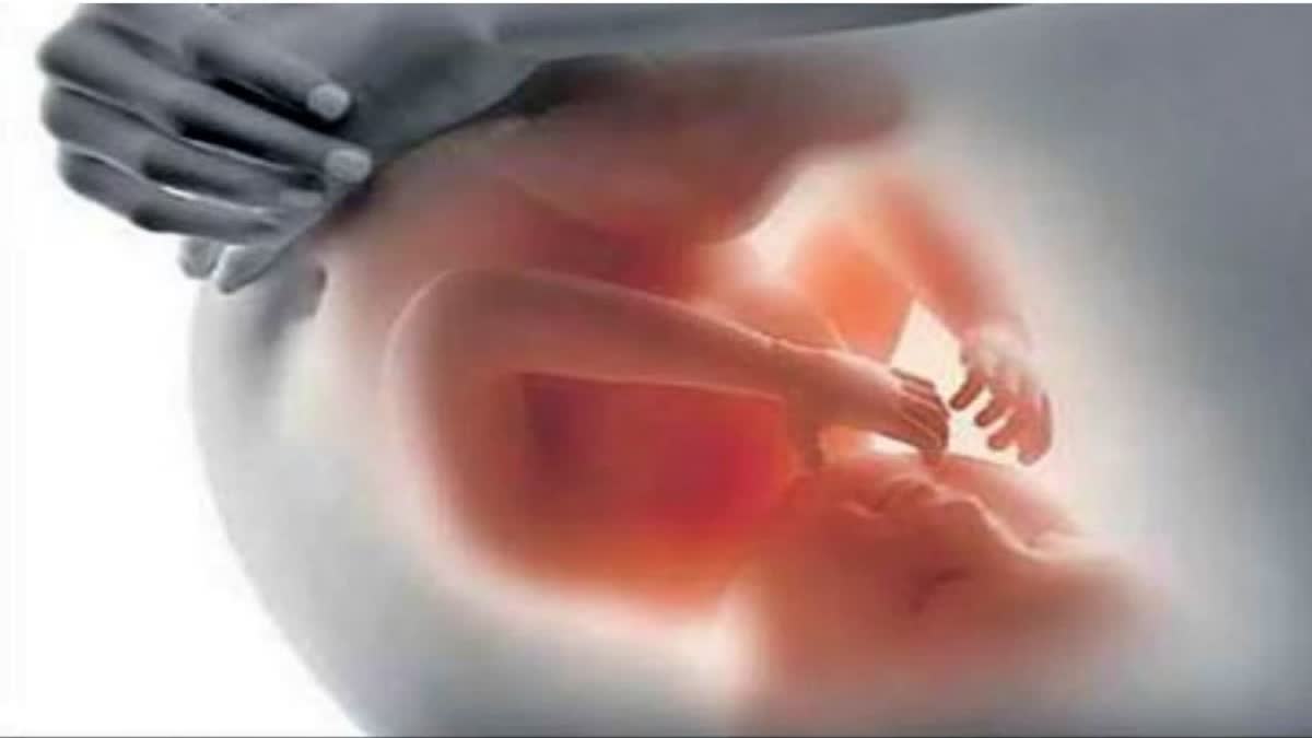 Fetal development  Artificial womb  New discoveries  Scientists  Fetal development outside the mothers body  Scientists New discoveries  കൃത്രിമ ഗർഭപാത്രം  ഭ്രൂണവളർച്ച  പ്രത്യുല്‍പാദനം  Ectogenesis