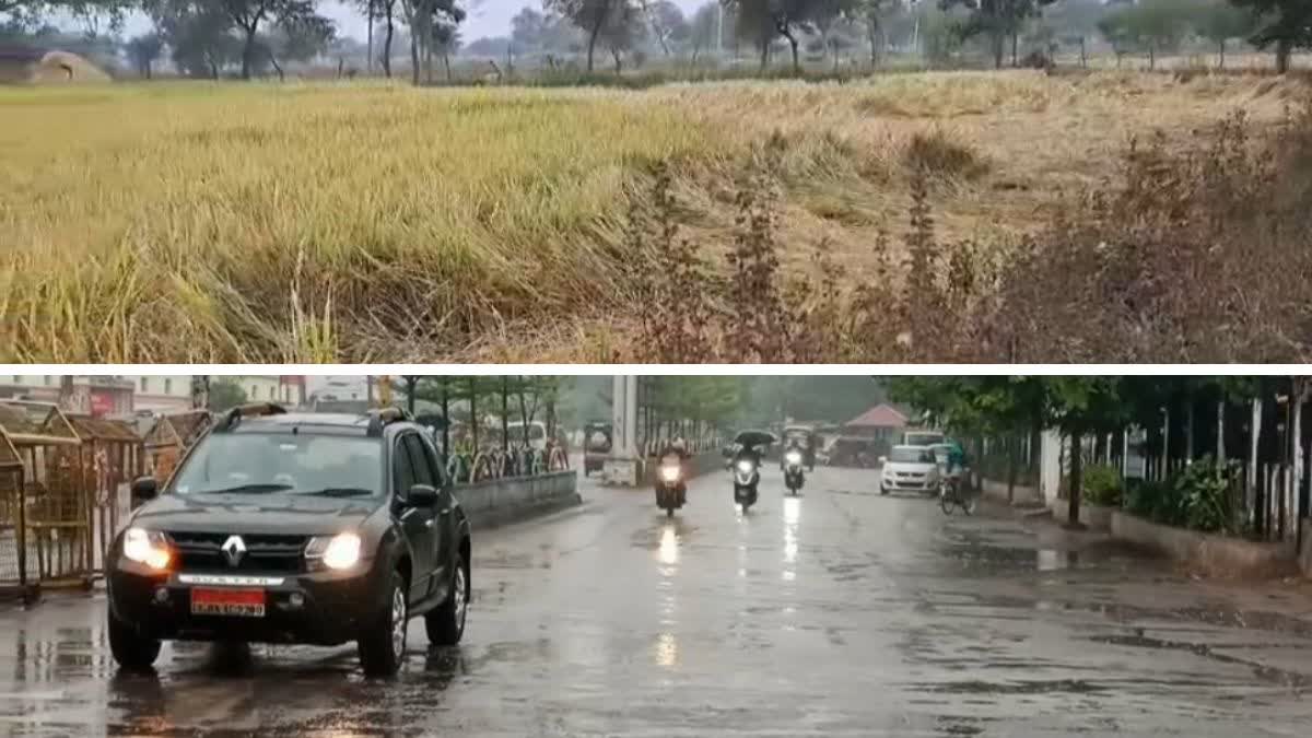 Michong cyclone Impact in Rajnandgaon