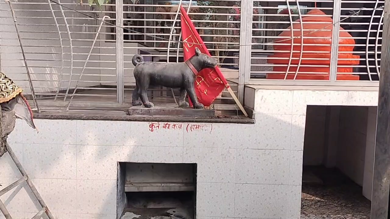 Dog temple in Uttar Pradesh