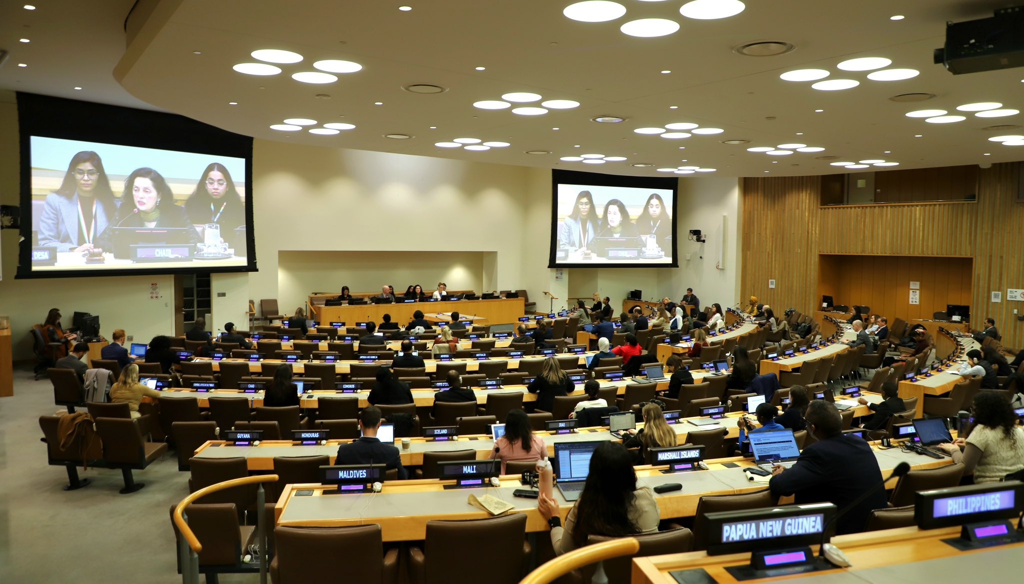 संयुक्त राष्ट्र सामाजिक विकास आयोग की बैठक
