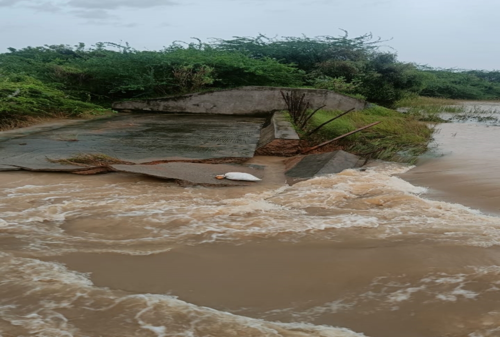 Michaung cyclone in tirupati