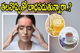 Best_Herbal_Teas_to_Reduce_the_Headache