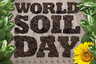 Etv BharatWorld Soil Day