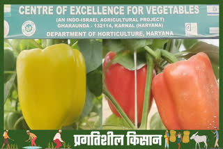 karnal Indo Israel Vegetable Center of Excellence
