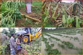 Impact_of_Cyclone_Michaung_in_Kadapa_District