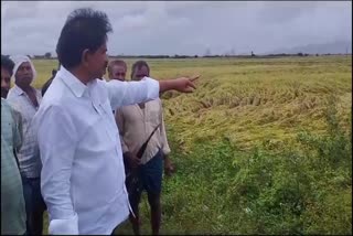 Devineni_Suggestions_for_Crop_Damage_Farmers_due_to_Impact_of_Cyclone