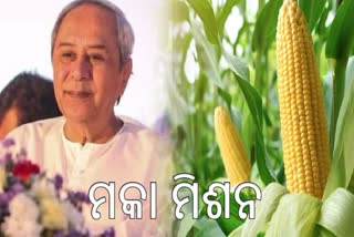 ମୁଖ୍ୟମନ୍ତ୍ରୀ ମକା ମିଶନ