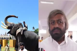 construction-of-arjuna-elephant-memorial-in-hassan-and-mysore-district-says-minister-ishwara-khandre